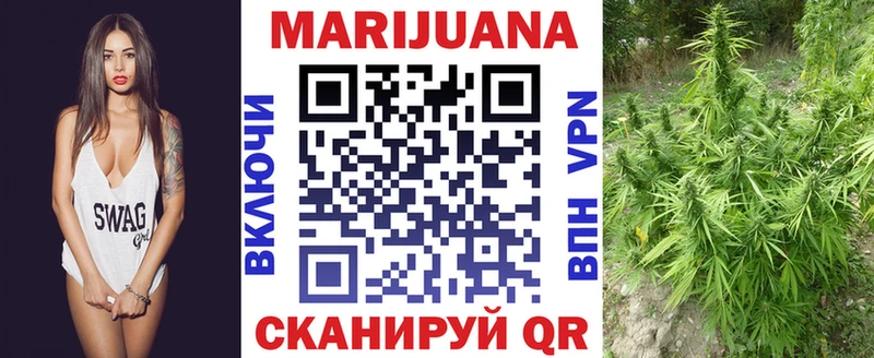 Где купить Городище Канабис  Alpha-PVP  Гашиш  АМФ  COCAIN  Мефедрон 