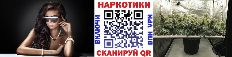 Галлюциногенные грибы Городище