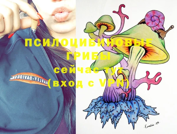 экстази Баксан