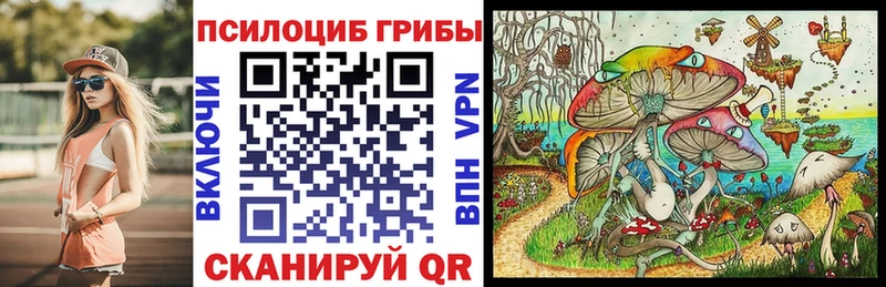 Галлюциногенные грибы Psilocybe  Городище 